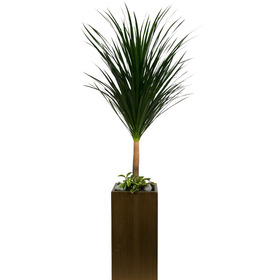 드라코 150cm