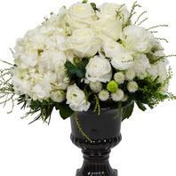 The White