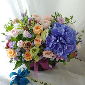 순수10