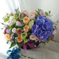순수10