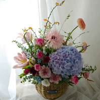 순수8