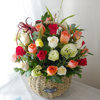 순수9